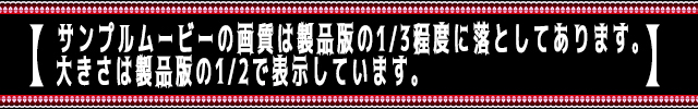サンプルムービー説明